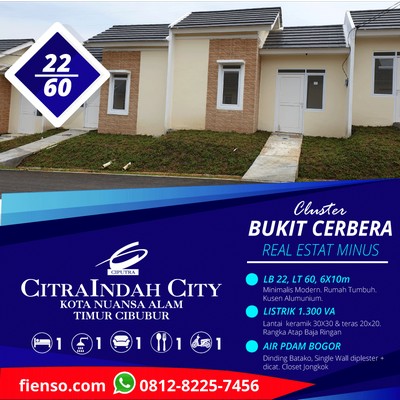 cerbera 22