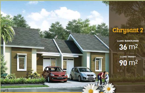 chrysant citra indah