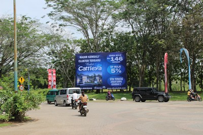 Cattleya, citra indah